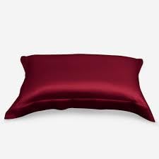 Waterlily 100% Mulberry Silk Pillowcase Oxford Pillowcases for Hair and Skin Envelope 50x75cm Both Sides 19momme Charmeuse Soft Natural Organic Luxury Pillow Case Cover (1