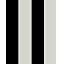 Black/Oatmeal (4-pack)