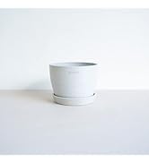 Amazon.co.jp: ECOPOTS キャスター付き鉢皿 10号 12号 エコポッツ L XL