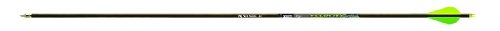 Tube Gold Tip VXT300A26 Velocity XT 300 flèche carbone chasse