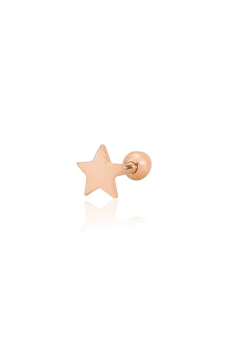 Gümüş rose yıldız modeli Tragus helix Piercing küpe