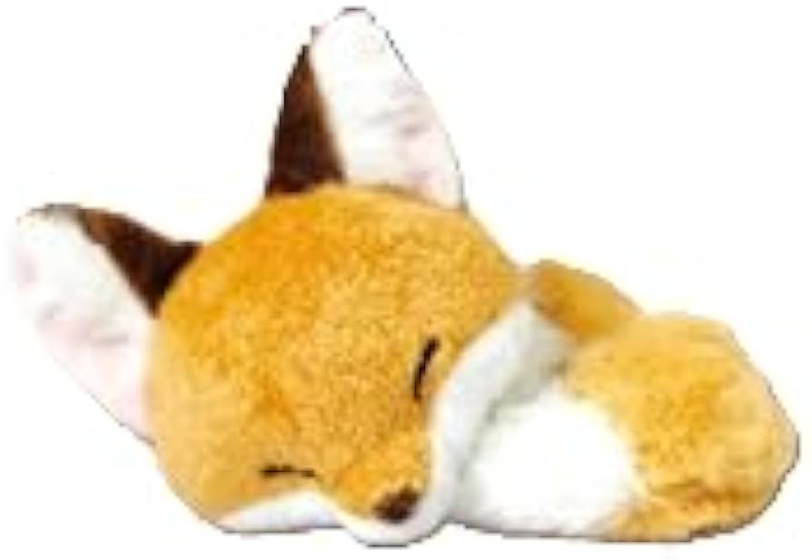Amazon.co.jp: ちょコンとキツネ キツネ ぬいぐるみ (くるんとおねむ