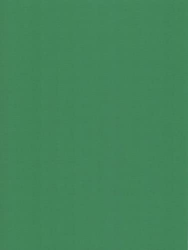 Carton de lin A4 240g rigide couleur vert fougère pour loisirs créatifs