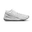 White/Metallic Silver