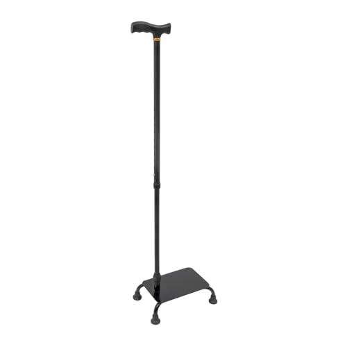 Stair Climbing Assist Cane