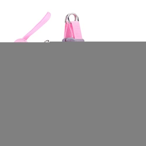 旅行用 猫用 ハーネス | 反射機能付き ソフトメッシュベストハーネス&リード 調節可能,子犬 小型犬 ペット用 ベスト 首輪 安全トレーニング お散歩 旅行 ハイキング バックパック アウトドア 冒険用