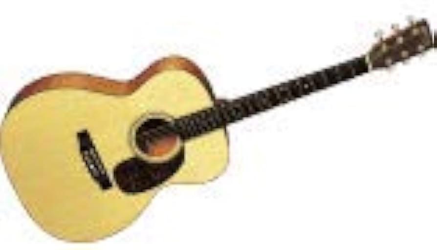 Amazon.co.jp: Martin アコースティックギター 16 Series 000-16GT