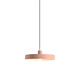 Lampe suspendue idéale pour une gamme d'espaces résidentiels et commerciaux, y compris les couloirs, les entrées, les sous-sols, les balcons !