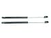 2 Pieces (SET) Tuff Support Hood Lift Supports 2003 To 2004 Mercury Marauder / 1998 To 2011 Ford Crown Victoria And Mercury Grand Marquis