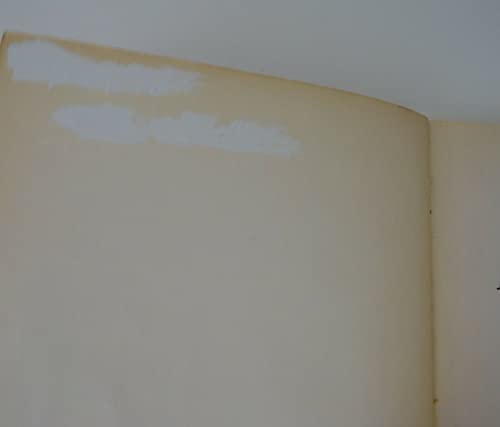 The Magic Top Mystery 0590722719 Book Cover