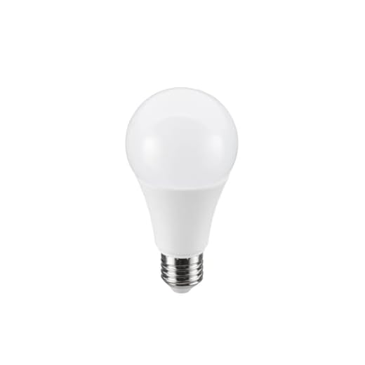 Lâmpada Led Bulbo 15W 6500K Luz Branca E27 Bivolt Ol Iluminação