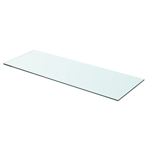 vidaXL Panel de Estante de Vidrio Templado Modelo Claro 70x25 cm Estantería