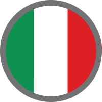 Resin BikeMotorcycle Sticker 3D compatible with Ducati DesertX 2022 - Headlight Protection