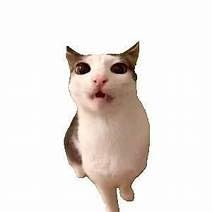 【2025年 フラフープ 0.9kg ダイエット&有酸素運動器具 PVC折りたたみ式 ソフトスプリング設計 ウェイト付き 最大化発汗効果 脂肪燃焼&体幹トレーニング(腹部・臀部・背中・脚・胸) 室内・公園用 男女兼用 (red)