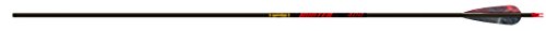 Gold Tip Hunter 340 Arrows with 4-Inch Feathers (1-Dozen)