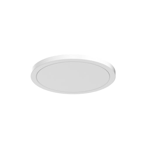 3 CCT Ceiling Light