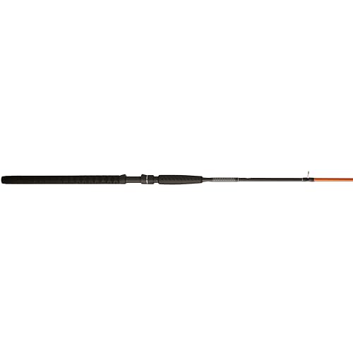 Catfish Fishing Rod Catfish Fishing Rod Selection: Heavy-Duty Requirements &#038; Options