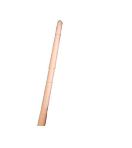 Consejos y reviews para comprar Accesorios de aspiradora koblenz los más recomendados. 18 Imagen adicional