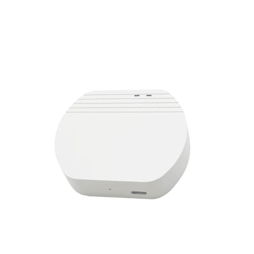 Module disjoncteur intelligent 10A Controller-E-W-H pour interrupteur connecté