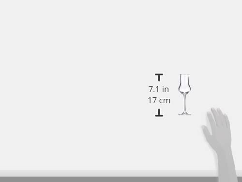 Schott Zwiesel Vidro Grappa Classico 155, Vidro de Cristal Sem Chumbo, Transparente, 5,8 x 5,8 x 17,