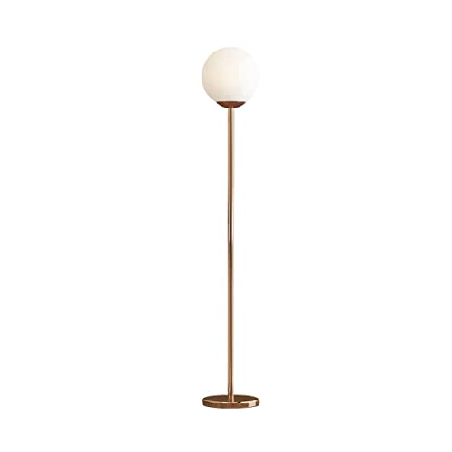 HJLJKG Lámpara de Pie Minimalista para Salón y Dormitorio de 12W