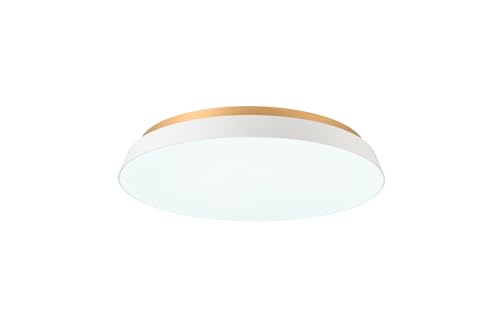 �X�����d�� �ԐڏƖ��t��LED�V�[�����O���C�gTAIRA �`14��܂őΉ� �H���s�v�ȒP��t 10�i�K�������F�@�\ ACE-175 (WH/�z���C�g)