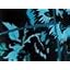 Teal Wildflower Shadow