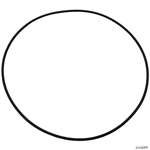 Gecko O-Ring, AquaFlo XP2/XP2E, Volute, O-408 #92200301