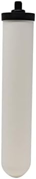 Doulton W9123006 UltraCarb Ceramic Drinking Water Filter Cartridge Candle 10 inch BSP Thread, White, 1 Count (Pack of 1)