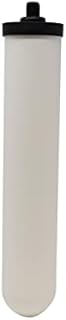 Doulton W9123006 UltraCarb Ceramic Drinking Water Filter Cartridge Candle 10 inch BSP Thread, White, 1 Count (Pack of 1)