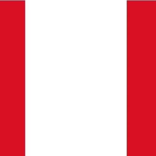 Cr&iacute;tica de gobierno presidencial del Per&uacute;