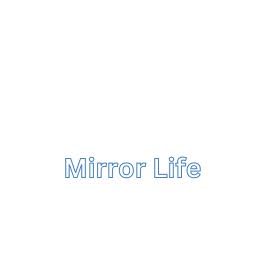 553 - Mirrored Life