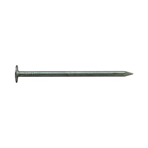 1.25 in. 1 lbs EG Roofing Nail
