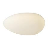 Applique murale : ce plafonnier apporte un nouveau look, rend votre maison confortable et chaleureuse, utile et fiable, lampe de