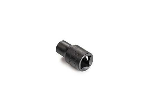 Image of TEKTON 3 /8 Inch Drive x 5 /16 Inch Shallow 12-Point Impact Socket | SID12208