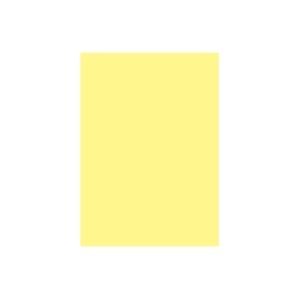 (Ɩp10Zbg)剤 ĐFp/Hp yl؂ 10×10Zbgz Ђ悱 ds-1474088