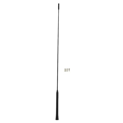 Antenne radio voiture 12V 75 ohms compatible Ford Focus C-Max