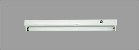 �m�[�x���u�����Ɩ���� FT-20-100 50HZ �[�q��t �_���Ǖt, �z���C�g