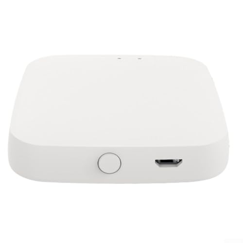 Besttoolifes Interruttore domotico compatibile con telecomando e timer per luci ed elettrodomestici (dispositivi ausiliari)