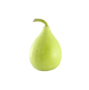 Bottle Gourd Round/Gol lauki Seeds For Home Gardening Pack Of 20 (B0C2ZK1V7S) Amazon Price History, Amazon Price Tracker