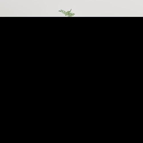 HaoChrymec TV-Wandschrank aus Holz, mit 3 Fächern, TV Schrank Weiß, TV...