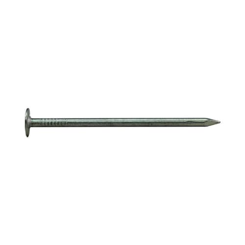 1 in. 1 lbs EG Roofing Nail
