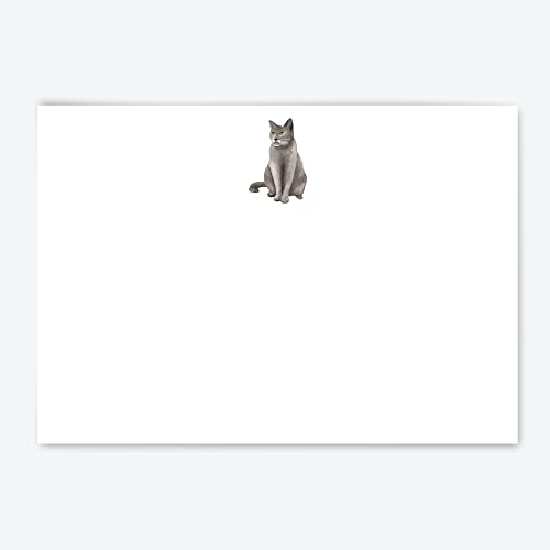 Me Loovely Graue Katze flache Grußkarten und Umschläge Set A6 Größe blanko Grußkarten Luxus Notizkarten Schreibwaren Zubehör für alle Anlässe (20 Stück ohne Ordner) Cover