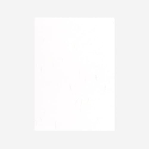 TAKEO PAPER PRODUCTS PAPER PALETTE A5中紙 やわらがみ白花 純白 10枚入