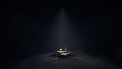 Reanimal Collector Edition Nintendo Switch 2 - vue 8