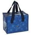 Guardian of The North Cooler Bag by Lisa Parker