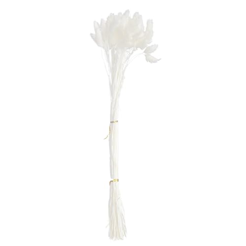 Bouquet de Flores Secas Balacoo 50pcs Decoración Natural miniatura 1