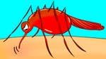 If Mosquitos Bite You More Than Others, Here's Why