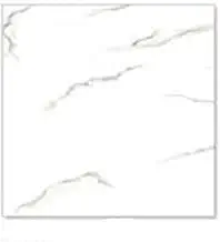 Creative Tile Studio Generic Floor OR Wall Tiles (Model : MEROLL White,Size : 24 X 24,Type : Polished Glazed Verified GVT Series)