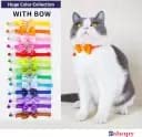 Dunk N Dogs Nylon Cute Bow Tie Adjustable Collar with Bell for All Breed Small Dog Pet Puppy Cat Kitty (10mm, Multicolour) (B0BDFRCY6F) Amazon Price History, Amazon Price Tracker